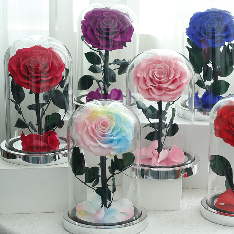 Eternal Flower Product Custom Rose Birthday Gift Dried Flower Foreign Trade Eternal Flower Little Prince Valentine's Day Gift Specification drawing