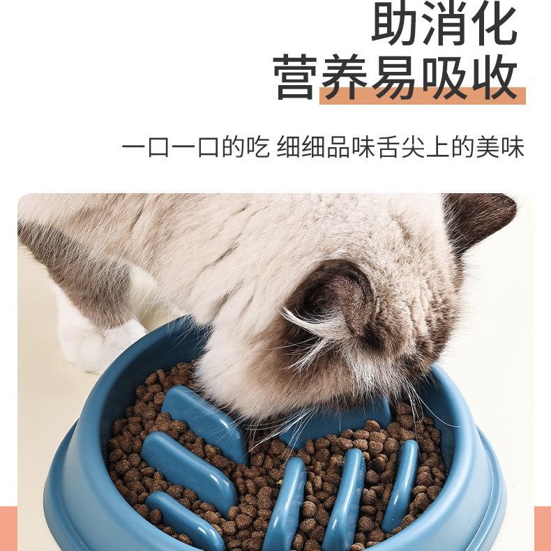 Cross-border dog slow food bowl, anti-choking pet slow food bowl, anti-slip and anti-tipping small and medium-sized dog feeder, cat bowl details Picture