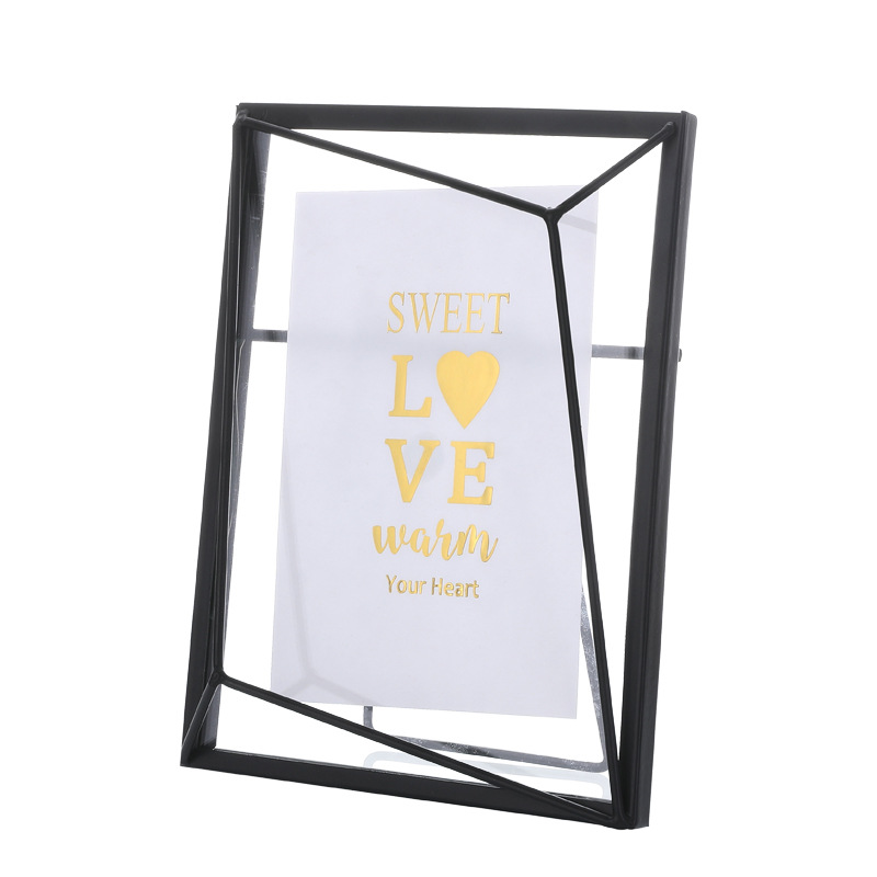 北欧简约风创意画框现代金属玻璃相框植物标本家居装饰品摆件相框.白底实物图