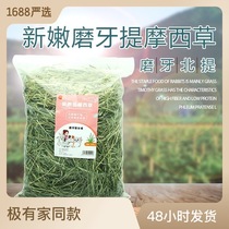 Timothy Grass wholesale 2023 dried black grass rabbit hay rabbit food forage Chinchillas guinea pig pet food