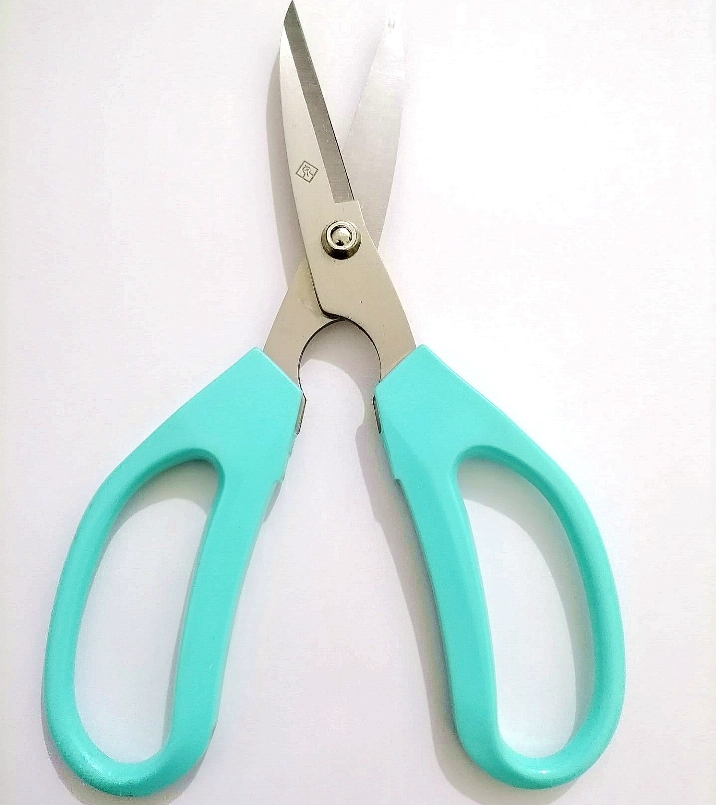 Authentic Shanghai Zhang Xiaoquan Qhbc-1B Home Flower Cutting Scissors Cut Ribbon Flower Shop Gardening Scissors Item Picture