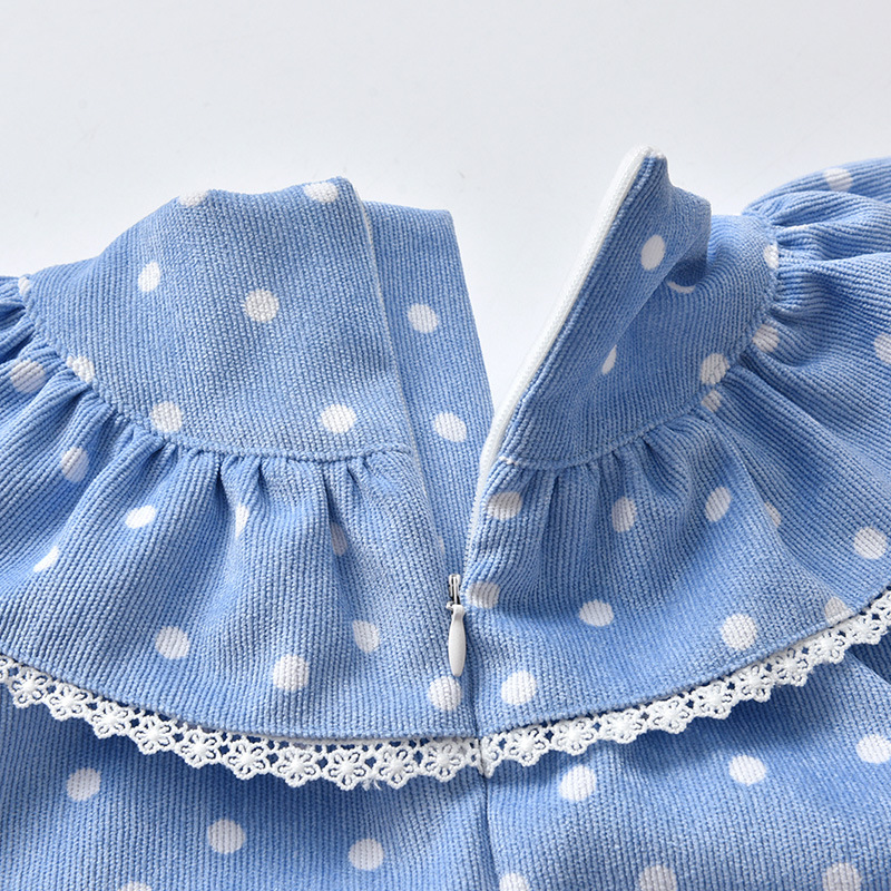 Girls' dress for autumn and winter with fleece, cute princess dress for baby, popular winter dress for little girls Application Scenario