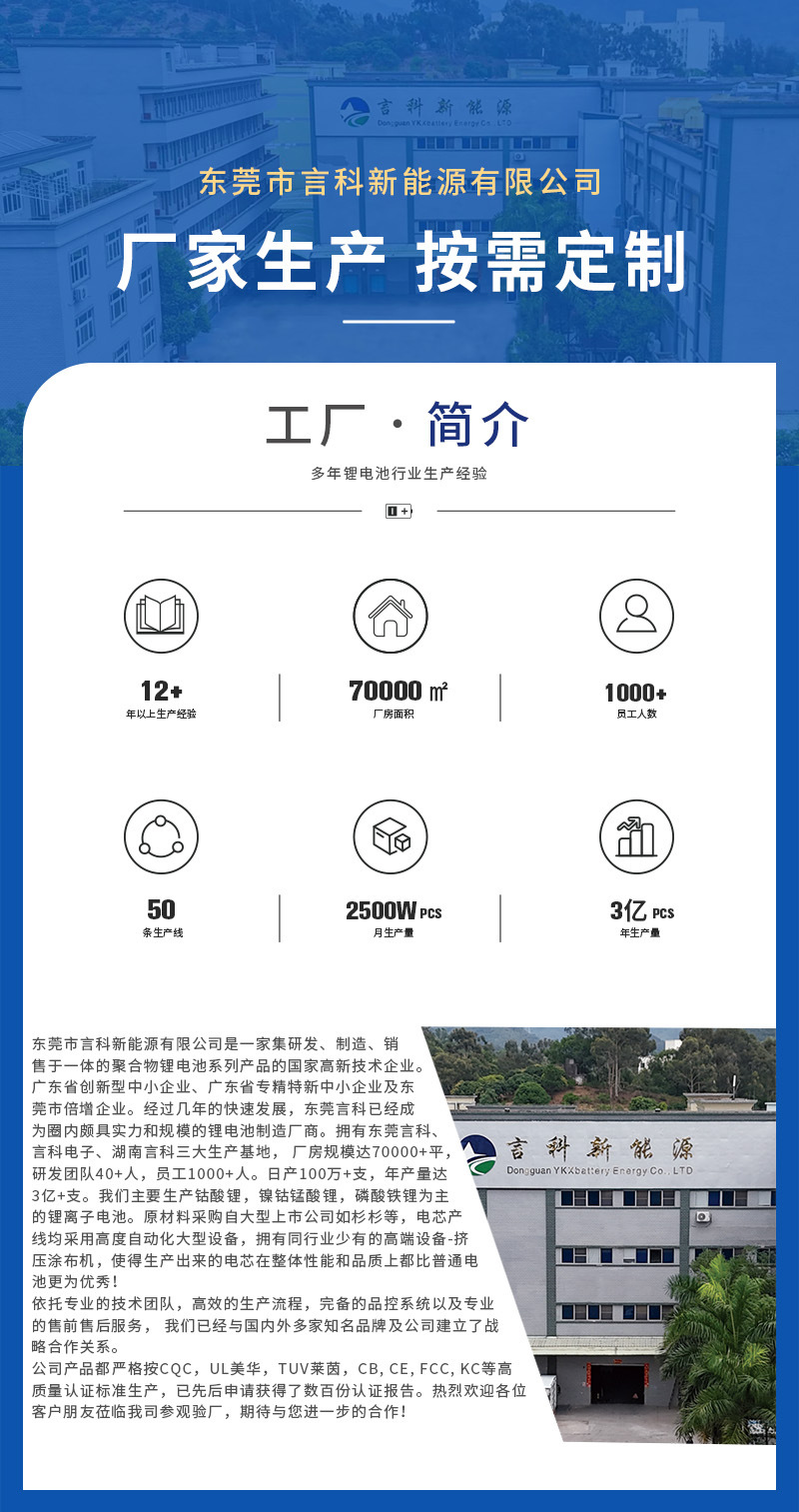 High-rate 6043116 polymer lithium battery pack 2500mAh40C automotive starting power lithium battery for electrical appliances pic 1