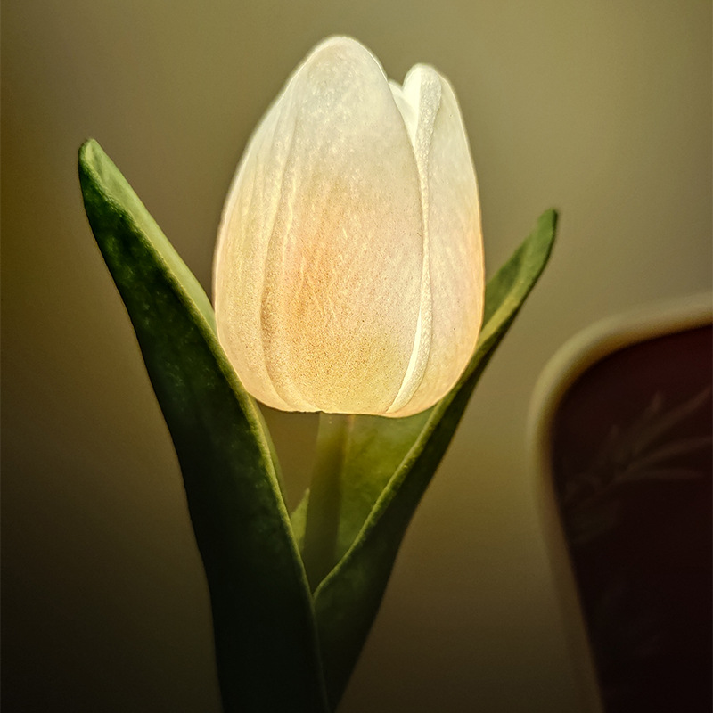 Led Tulip Nightlight Simulation Flower Bouquet Fresh Decoration Ins Girl Room Dormitory Bed Decoration Atmosphere Lamp Specification drawing