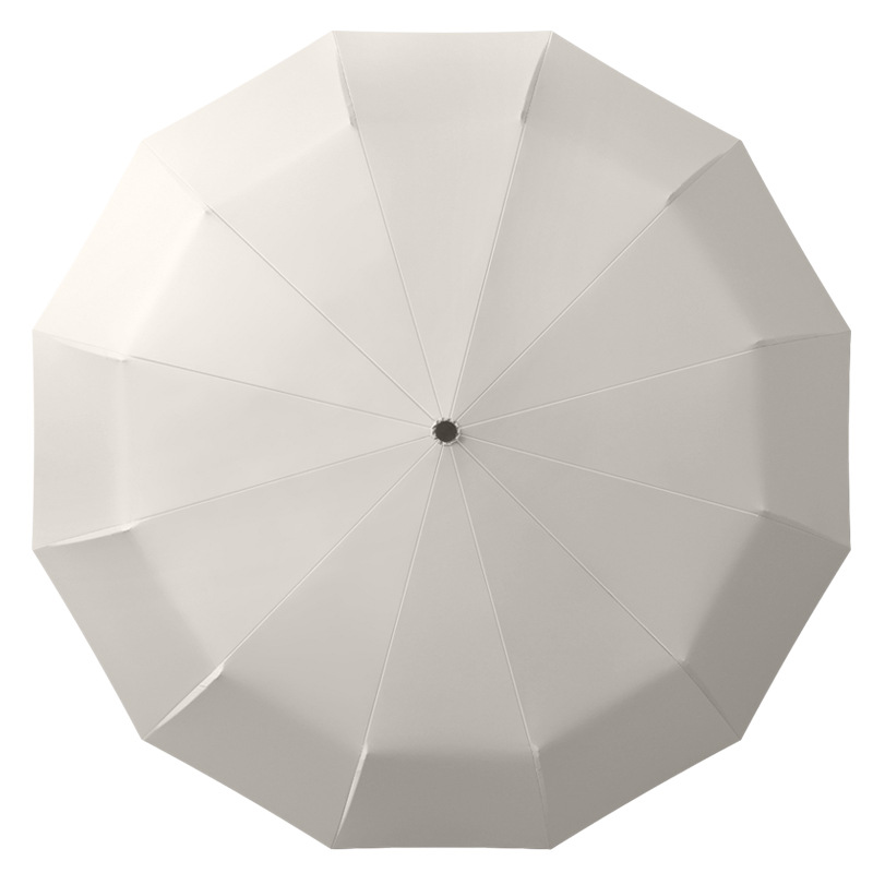 import白底实物图