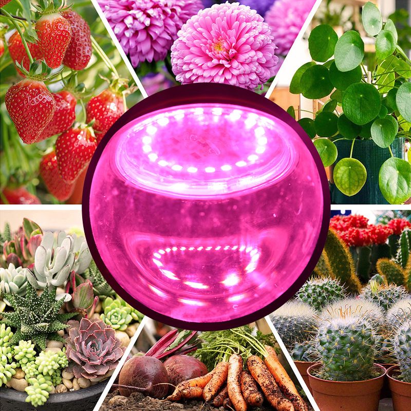 植物生长灯泡/室内植物生长/全光谱产品图