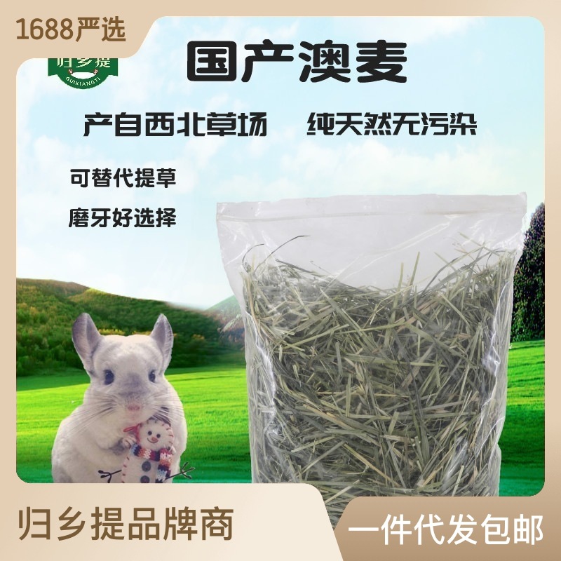 归乡提国产澳麦草兔子龙猫干草饲料烘干澳麦草宠物粮草场批发