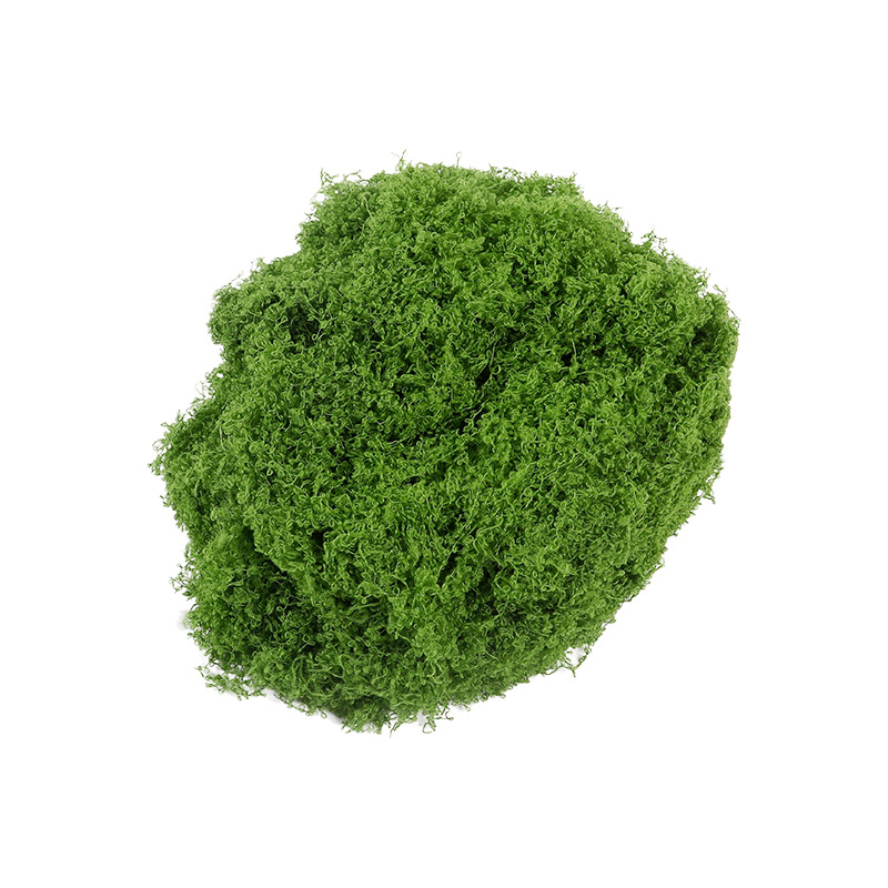 仿真苔藓 diy人造青苔草坪草皮绿植装饰造景盆景铺面丝状假苔藓白底实物图