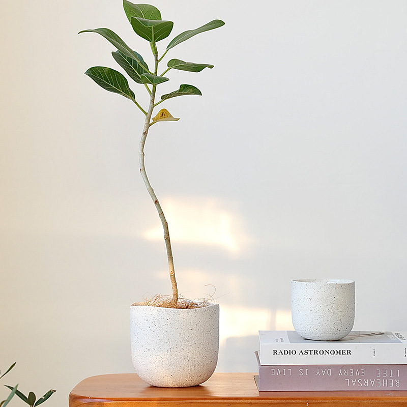 水泥花盆/花盆/塑料花盆/红陶小花盆/仿真塑料花盆室内细节图