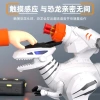Early education intelligent remote control dinosaur toy, electric robot programming simulation animal Velociraptor, children's toy gift Specification image