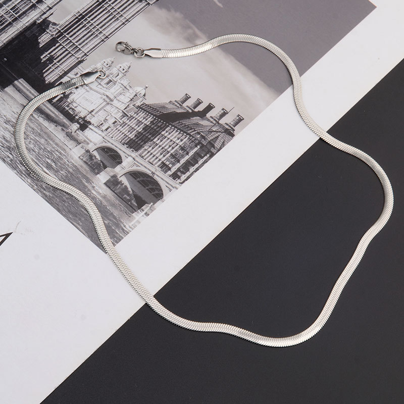 Blade Wide Snake Bone Chain Titanium Steel Thin Encrypted Snake Chain Simple Snake Bone Necklace Male Vegetarian Chain Advanced Collarbone Chain Personality Application Scenario