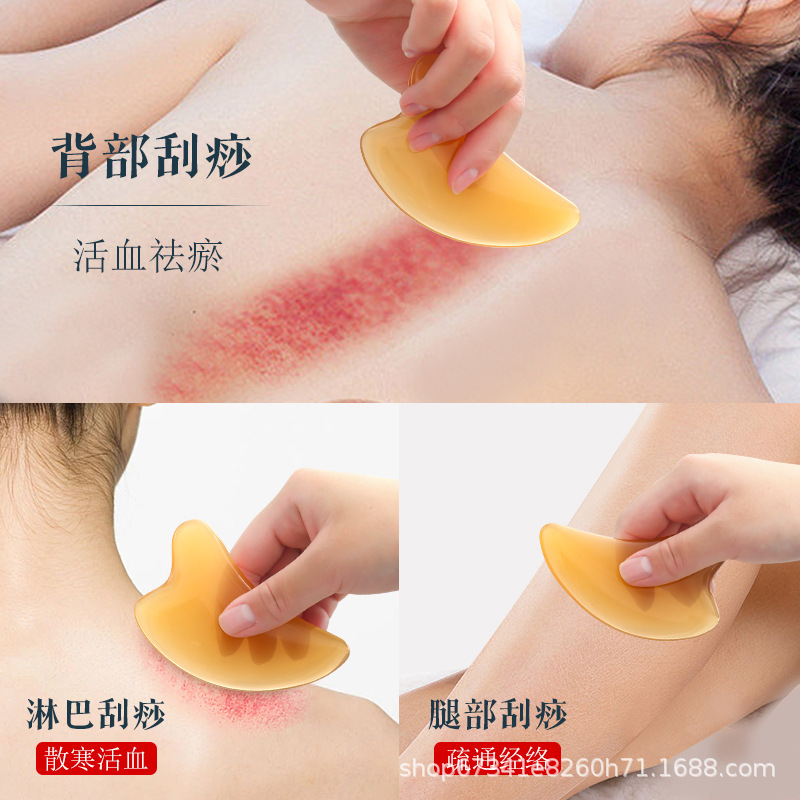 经络保健器材实物图