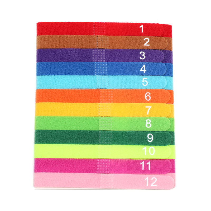 宠物项圈实物图