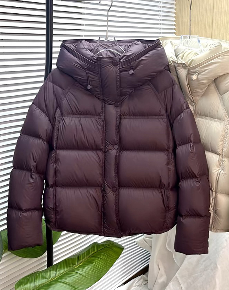 羽绒服女款冬季女装新款90鸭绒外套短款冬装女式高级感平湖详情8