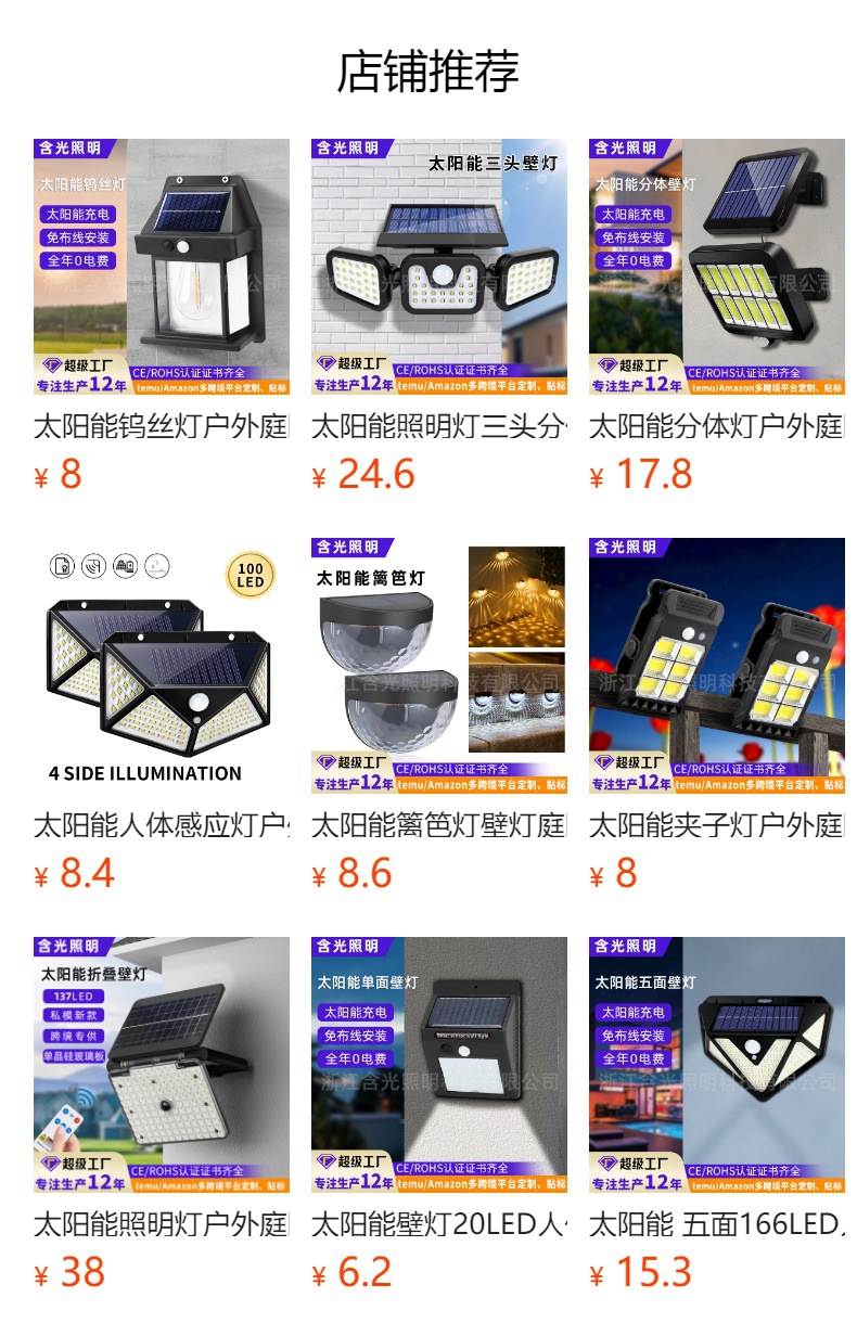 太阳能照明灯仿真监控灯摄像头灯感应道路灯防水家用户外庭院壁灯详情1