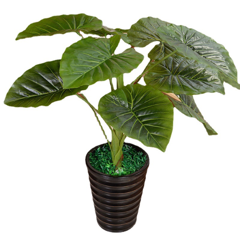 仿真植物盆栽/仿真植物/仿真树白底实物图