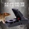 小型塑料老鼠夹新款全自动强力夹诱鼠饵料老鼠耗子一锅端家用捕鼠图