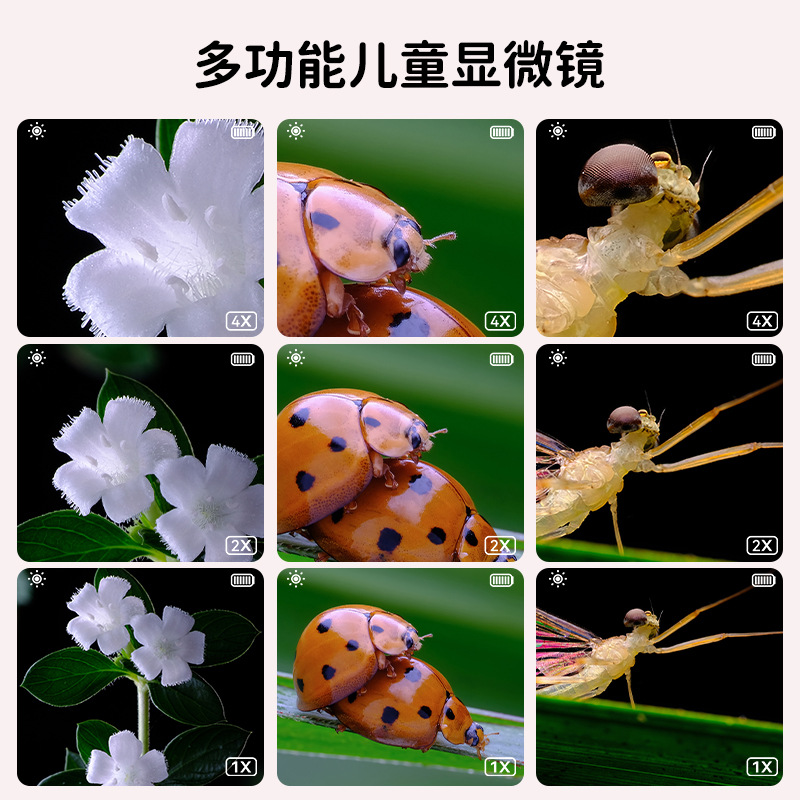 显微镜实物图