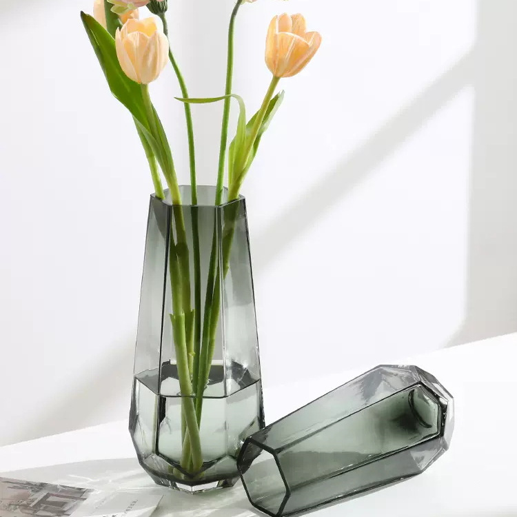 Net Red Nordic Simple Creative Glass Vase Transparent Water Raised Flower Arrangement Rose Lily Machine Living Room Decoration Home Application Scenario