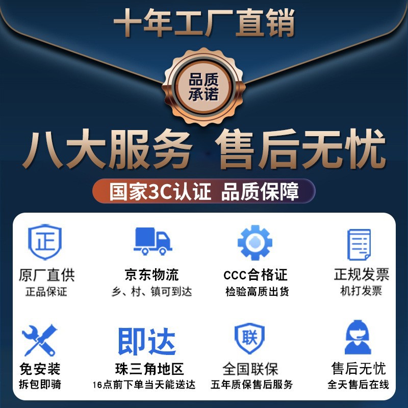 Love Yue Electric Car Manufacturers Wholesale New National Standard 48V Lithium Battery Electric Bicycle King Takeaway Electric Bike Application Scenario