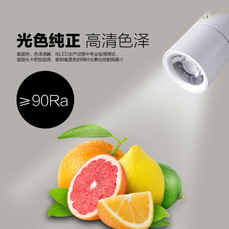 水果生鲜专用射灯超市/led轨道生鲜灯蔬菜卤菜/熟食40W猪肉水产灯细节图