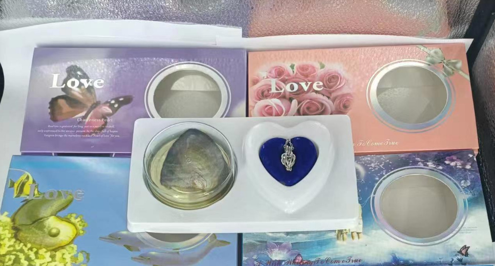 Pearl gift box canned a mussel a pearl mussel DIY pearl pendant