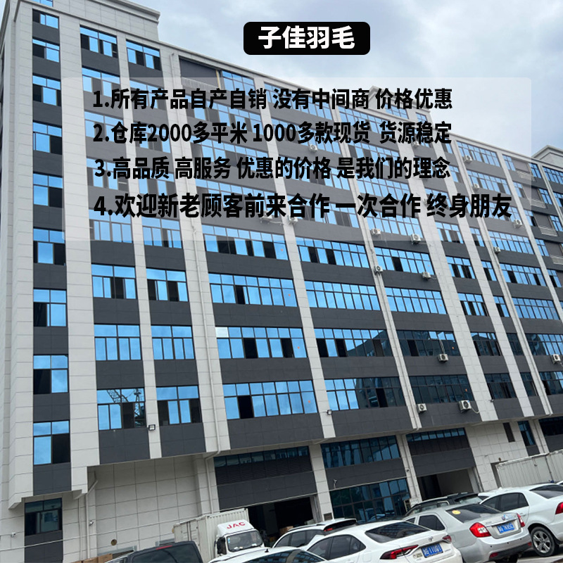 超粗毛条/蛋糕插枝/彩色羽毛/鸵鸟羽毛/火鸡毛产品图