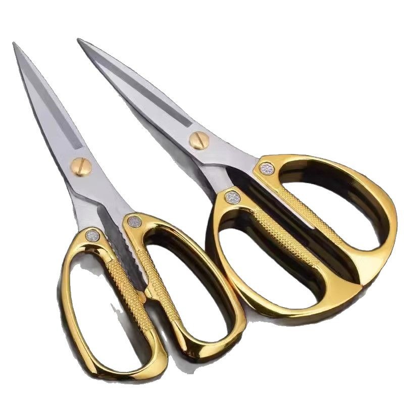 import白底实物图