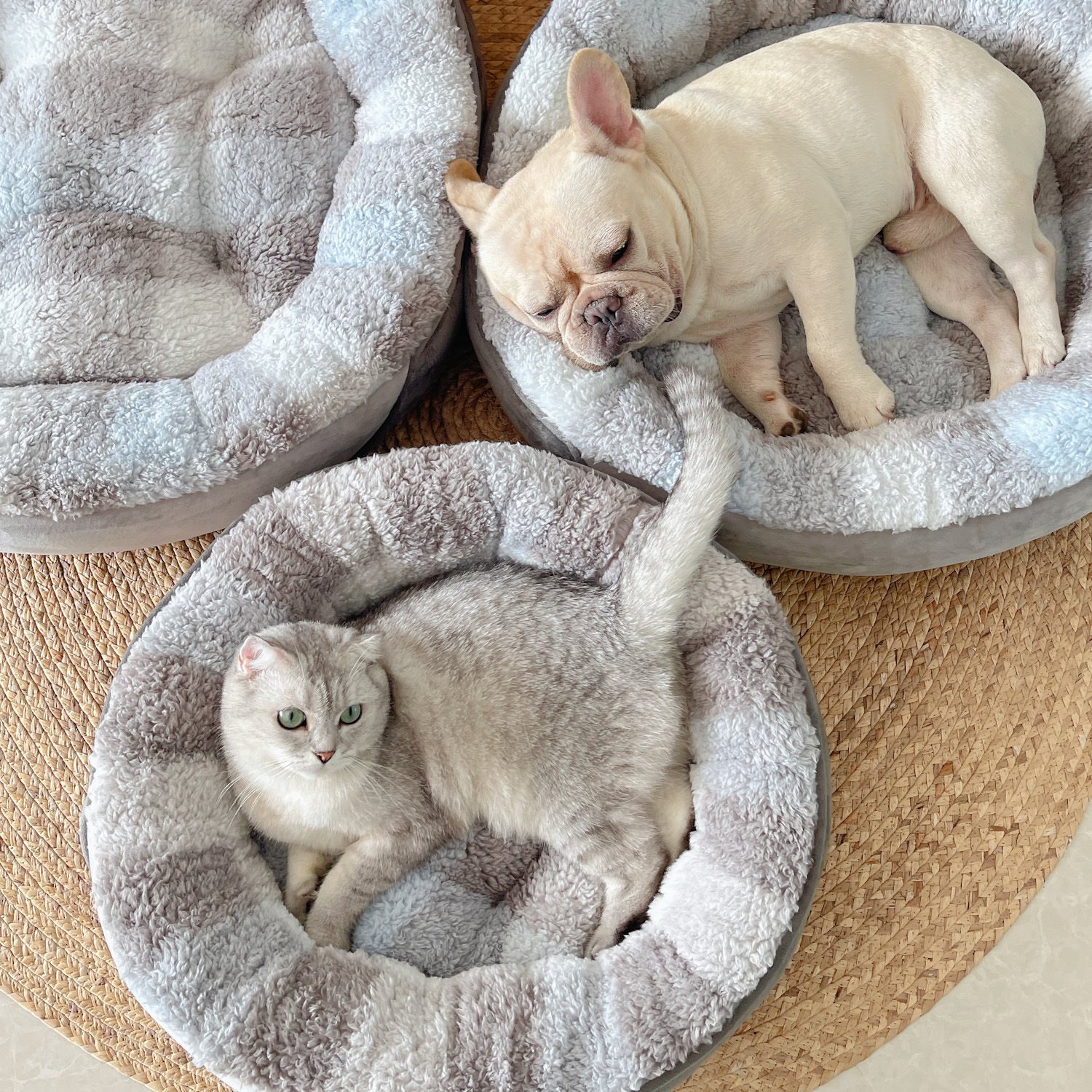 特价出口泰迪萨摩耶狗窝 羊羔绒比熊狗窝 圆形狗床 宠物垫子 猫窝