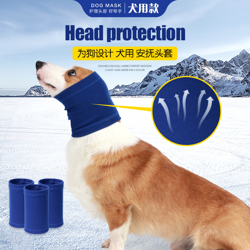 宠物帽子实物图