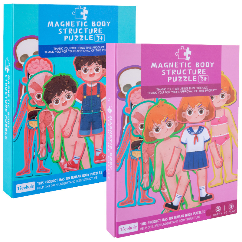 磁性人体器官白底实物图