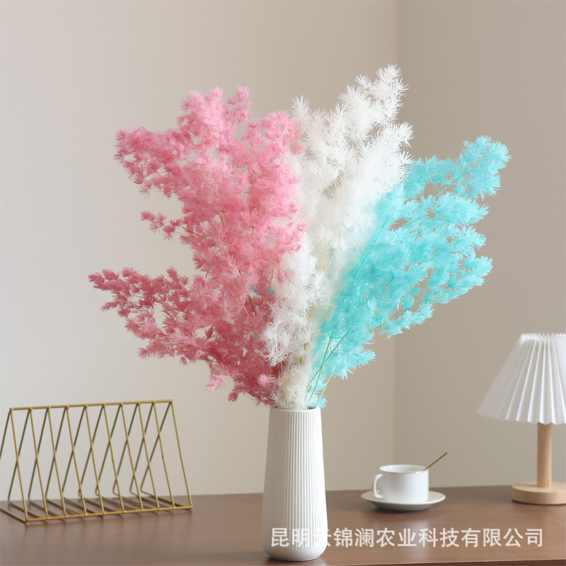 Penglai Pine preserved flower dried flower wholesale from Yunnan manufacturer, cross-border hot sale, Nordic-style home soft decoration flower shop flower materials details Picture