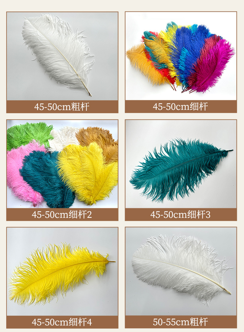 厂家直销15-80cm鸵鸟毛舞台布置真羽毛发夹装饰插花婚庆布置羽毛详情14