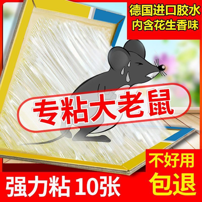 粘蝇纸/苍蝇拍实物图