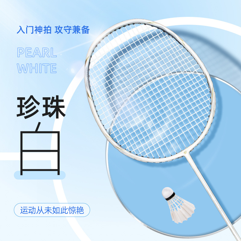 赛狮龙训练家用学校成人健身运动铝合金羽拍套装单双支装带羽毛球