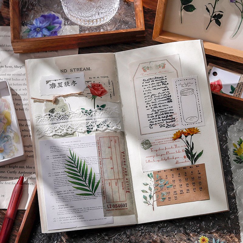 陌墨盒装植物细节图