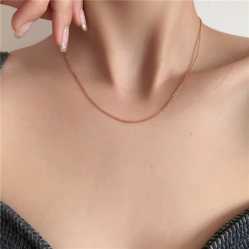 Titanium steel non-fading small chain simple and versatile necklace, ultra-exquisite and high-end personalized collarbone chain women's spring and summer accessories Application Scenario