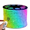110V220V led light strip, seven-color rgb5050 flexible colored outdoor waterproof ambient lighting project light strip Item Picture