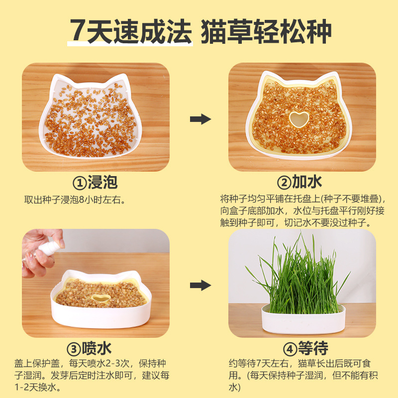 猫草水培盒/卡通猫草盆栽产品图