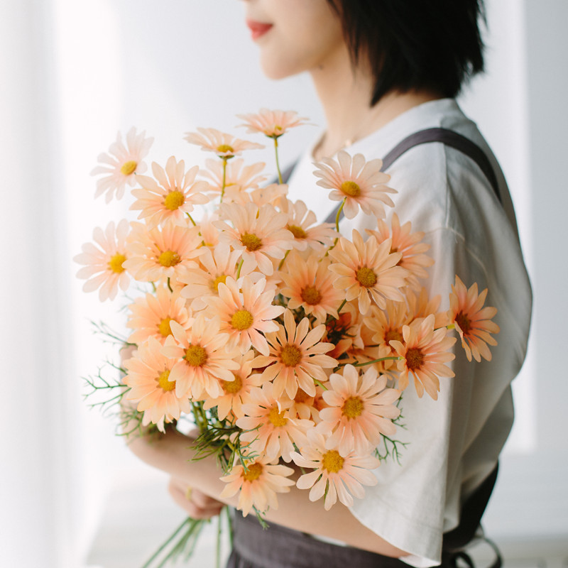 5 Heads Of Dutch Chrysanthemum Small Daisy, Persian Chrysanthemum Simulation Flower, Silk Flower, Small Wild Chrysanthemum Fake Flower, Daisy Decoration Wedding Wholesale Application Scenario