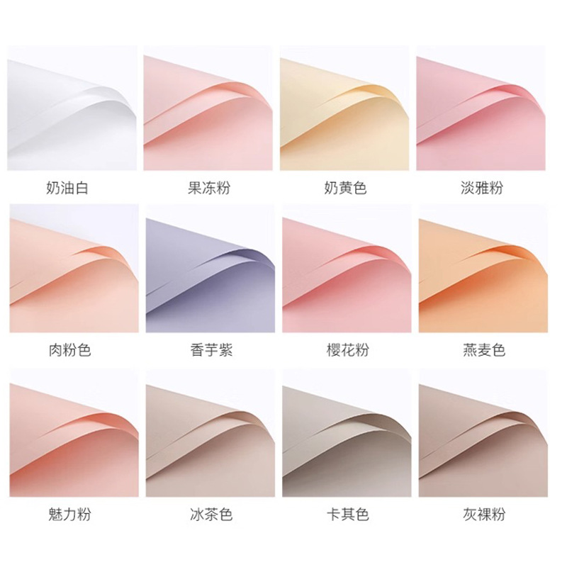 透明纸实物图