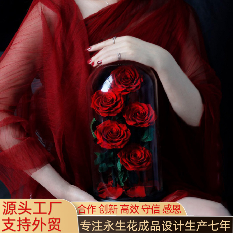 Eternal Flower Product Custom Rose Birthday Gift Dried Flower Foreign Trade Eternal Flower Little Prince Valentine's Day Gift details Picture