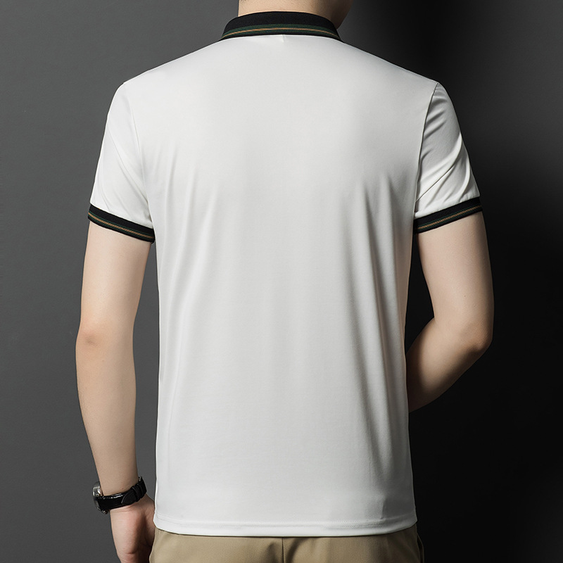 A new casual POLO shirt with a lapel collar and a fashionable pullover for young and middle-aged men in summer Application Scenario