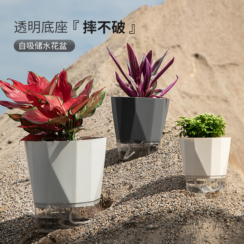Lazy people's special self-drawing water potted plant, no need to water, octagonal transparent water storage green ivy flowerpot, anti-root rot desktop decoration