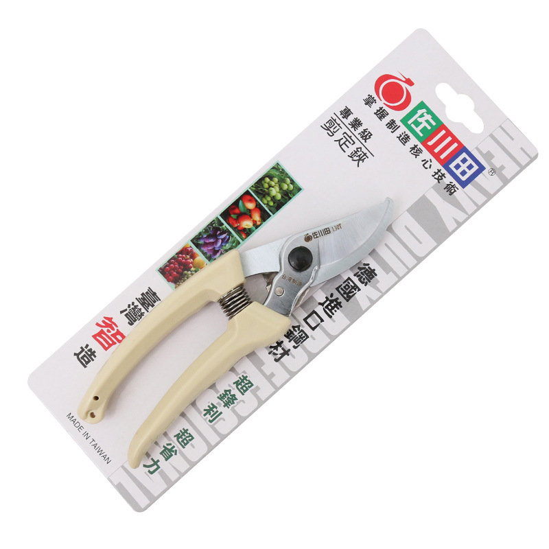 import白底实物图