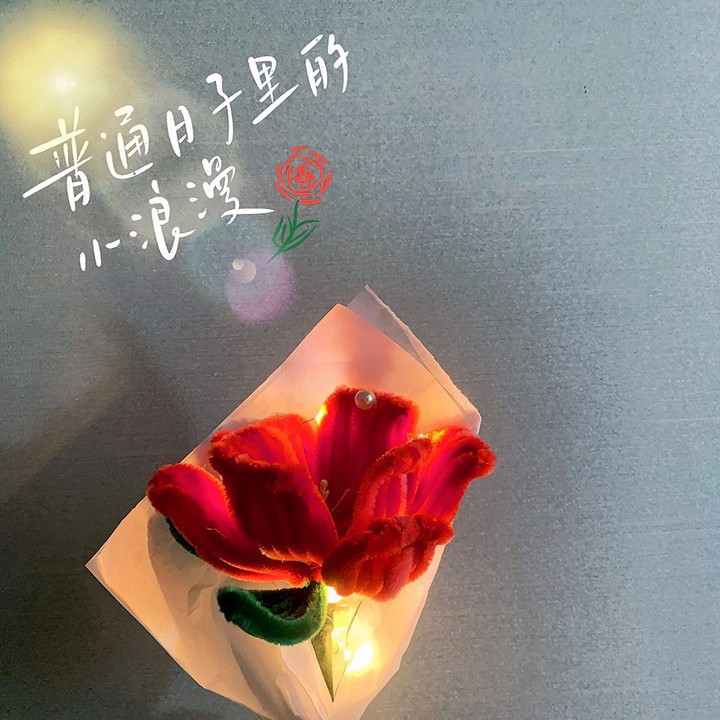 0.5m, 1m, 2m, 3m led copper wire bouquet light string, cake decoration, small colored light string, flashing light, starry sky 12 pic 2