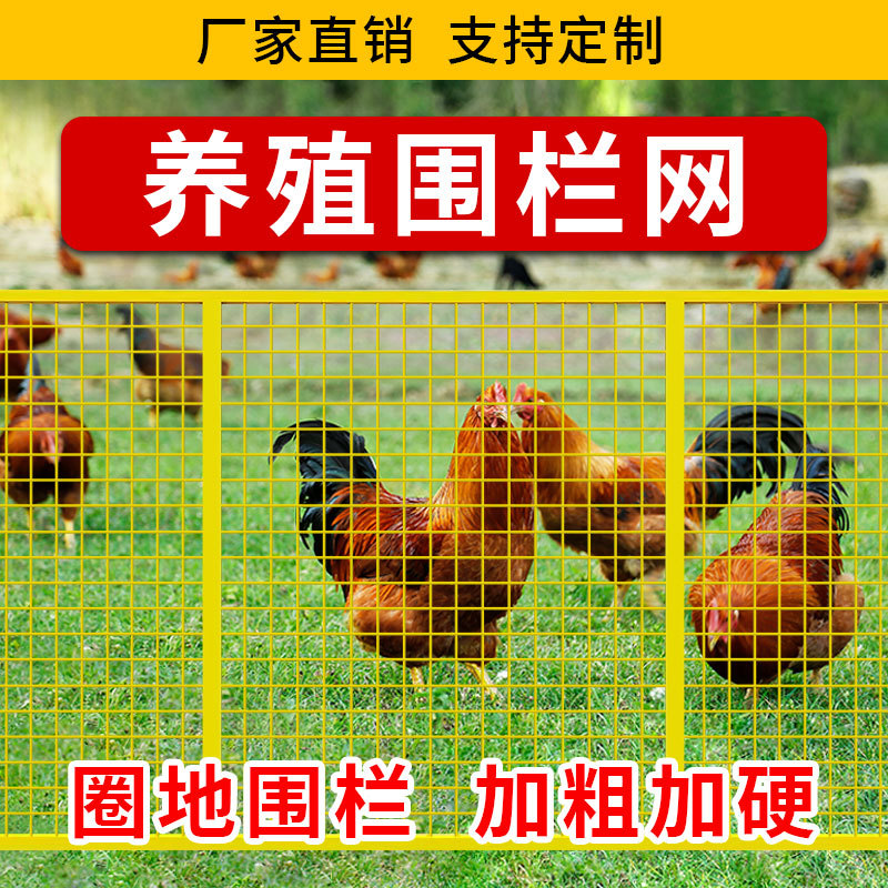 Warehouse workshop isolation net, wire fence, outdoor chicken cage, grid column, wall, safety protection fence Specification image