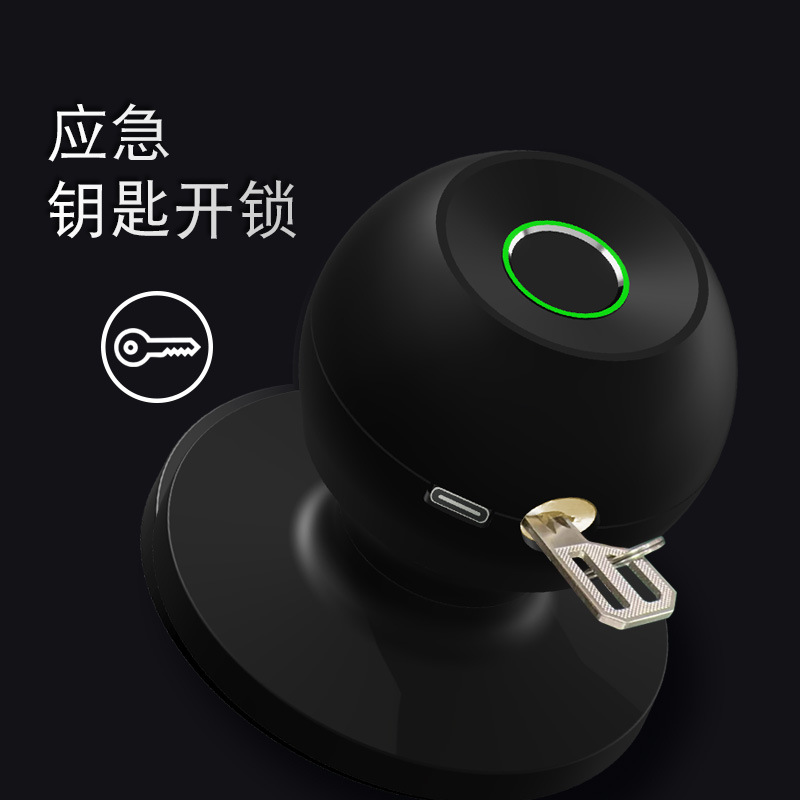 Graffiti New Indoor Fingerprint Lock Cross-Border For Home Wooden Door Spherical Lock Smart Electronic Lock Left And Right Door Universal Specification drawing