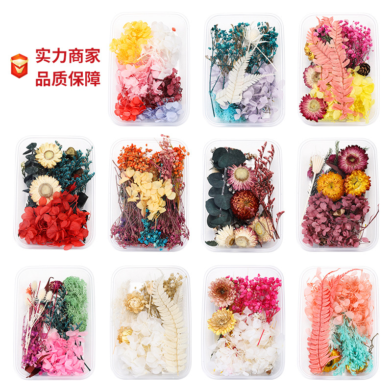 浮游花 干花 永生花 情人节七夕礼物diy团扇制作压花云南干花批发