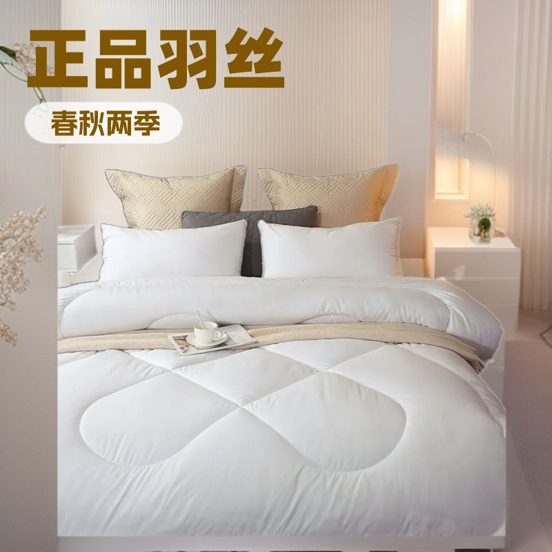 Wholesale of genuine Hilton Yilin silk quilt core quilts, spring and autumn quilts, hotel and guesthouse student dormitory gift quilts details Picture